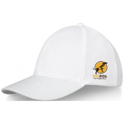 Image of Drake 6 panel cotton trucker cap